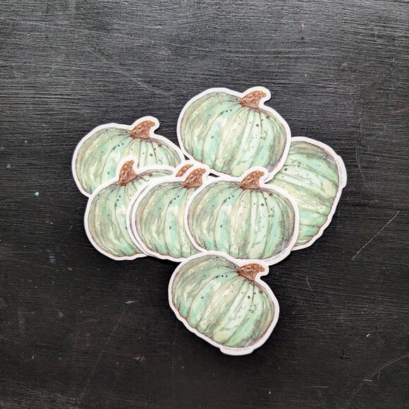 3" Vinyl Sticker decal: Mint Green Kabocha Green Pumpkin Japanese Squash - Picture 4 of 4